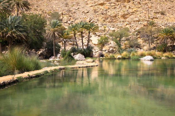istock Water pools in Wadi Bani Khalid, Oman, Arabia 1287821632