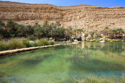 Emerald pools in Wadi Bani Khalid in desert oasis, Oman