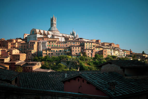 istock Scenic view of Siena from viewpoint, Tuscany, Italy 1287827310