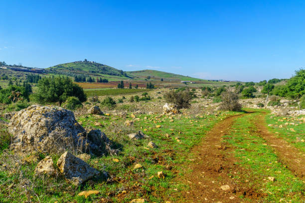 istock Upper Galilee landscape, with hills and vineyards 1287827642