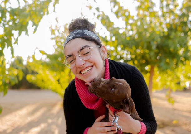 Portrait in a park of a teenage girl with glasses smiling while her dog gives her a kiss. stock photo