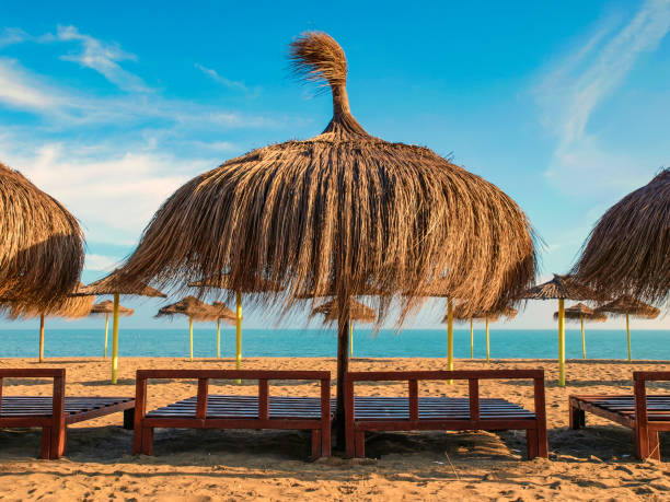 Wooden sunshade on a beach without tourists stock photo