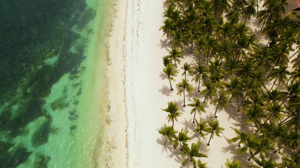 istock Sandy beach and tropical sea. Panglao island, Philippines 1287834452