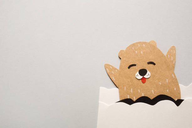 happy groundhog day. paper craft for kids on gray background. create art for children. minimal concept, copy space happy groundhog day. paper craft for kids on gray background. create art for children. minimal concept, copy space groundhog day stock pictures, royalty-free photos & images