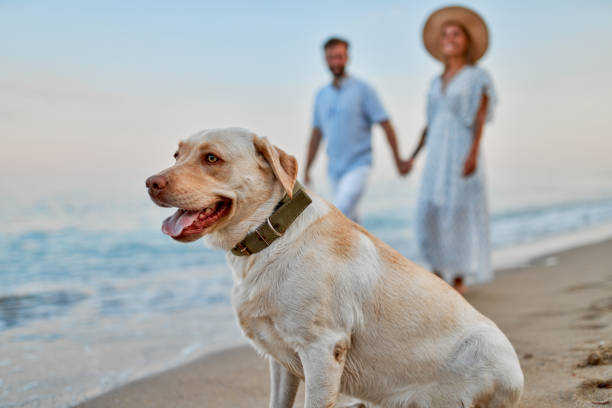 istock Couple on the beach. 1287839934