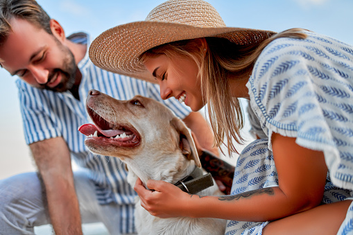 A cute woman in a dress and a straw hat and a handsome man in a striped shirt with their labrador dog are having fun on the seashore.