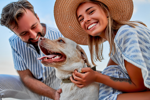 A cute woman in a dress and a straw hat and a handsome man in a striped shirt with their labrador dog are having fun on the seashore.