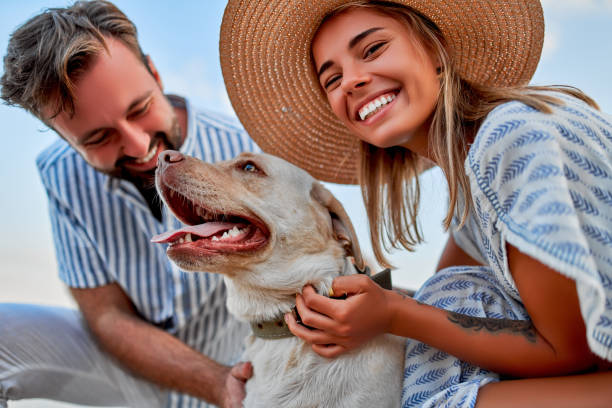 Couple on the beach. A cute woman in a dress and a straw hat and a handsome man in a striped shirt with their labrador dog are having fun on the seashore. dog friendly holiday stock pictures, royalty-free photos & images