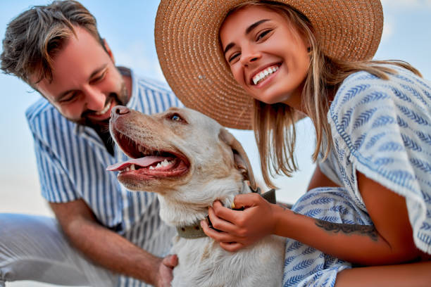 Couple on the beach. A cute woman in a dress and a straw hat and a handsome man in a striped shirt with their labrador dog are having fun on the seashore. mid adult couple stock pictures, royalty-free photos & images