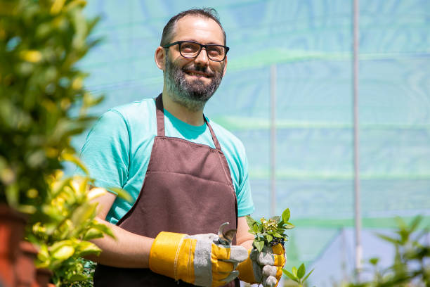 istock Happy male florist standing among rows with potted plants 1287841363