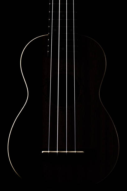 istock Brown guitar ukulele front view silouette close up 1287843432