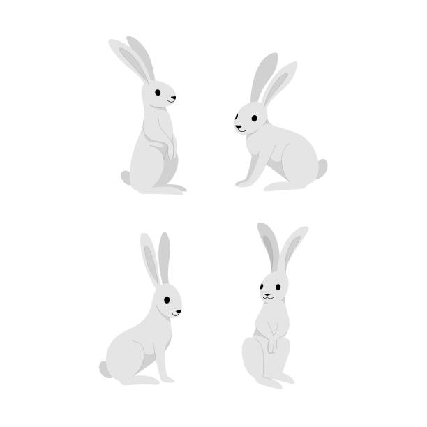 animal Cartoon hare icon set. Cute animal character in different poses. Vector illustration for prints, clothing, packaging, stickers. hare and leveret stock illustrations