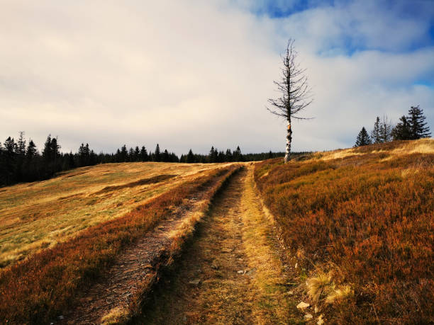 istock Autumn colors in the mountains. 1287847091