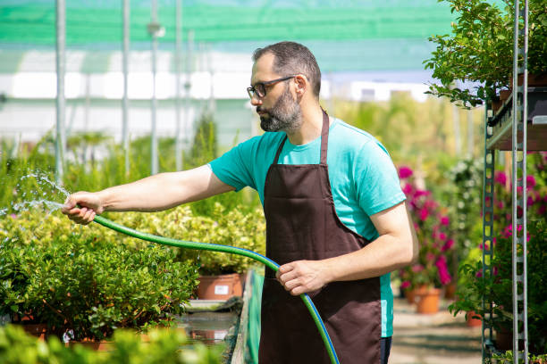 side view of male gardener watering pot plants from hose - photography gray hair farmer professional occupation imagens e fotografias de stock