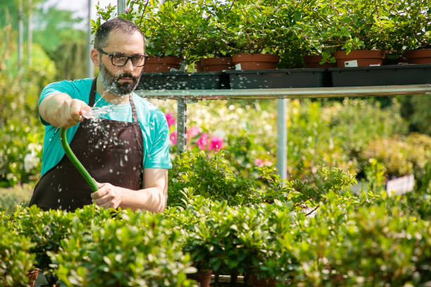 istock Focused Caucasian man watering plants in pots from hose 1287851590