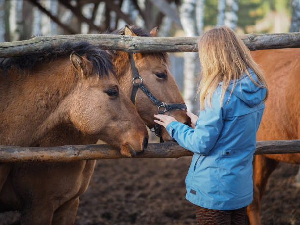 istock A girl in a blue jacket stroking two horses in an aviary 1287852593