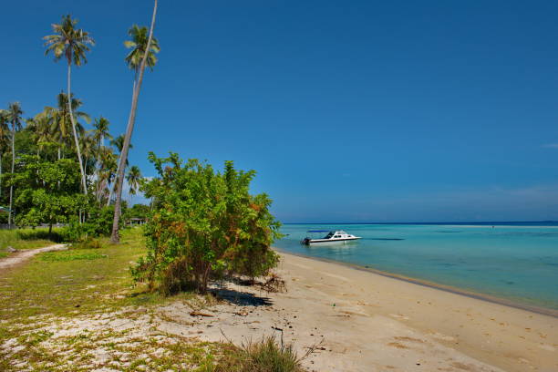 istock The turquoise shallows of the reef Islands 1287853948