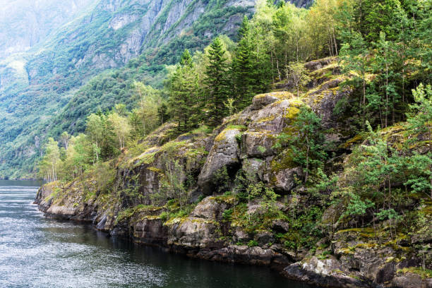 istock landscape with forest and fjord in Norway. 1287854272