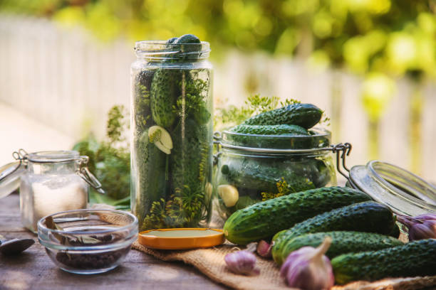 istock preservation of fresh house cucumbers. Selective focus. 1287854450