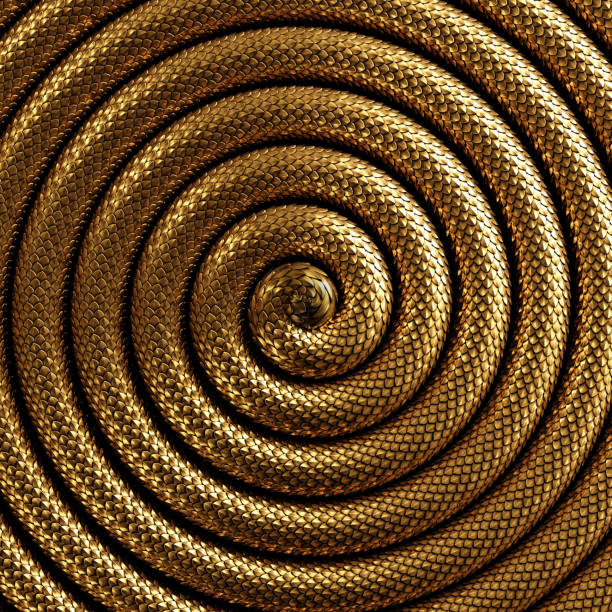 3d render, abstrakte spirale hintergrund mit glänzenden goldenen schlange haut textur - black gold abstract spiral stock-fotos und bilder