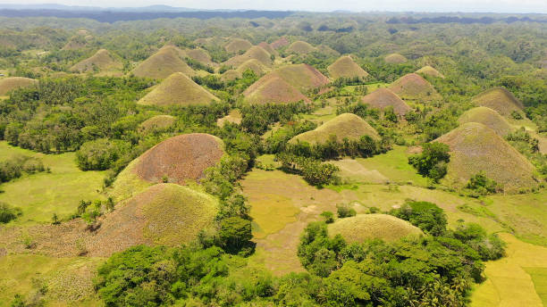 Chocolate hills.Bohol Philippines Natural formations known as chocolate hills.Bohol, Philippines, top view. chocolate hills photos stock pictures, royalty-free photos & images