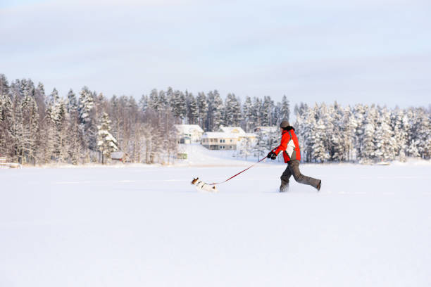 Man walking with pet dog in beautiful winter landscape