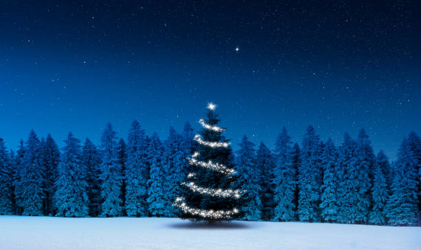 istock Illuminated Christmas tree in a winter forest at night 1287860333
