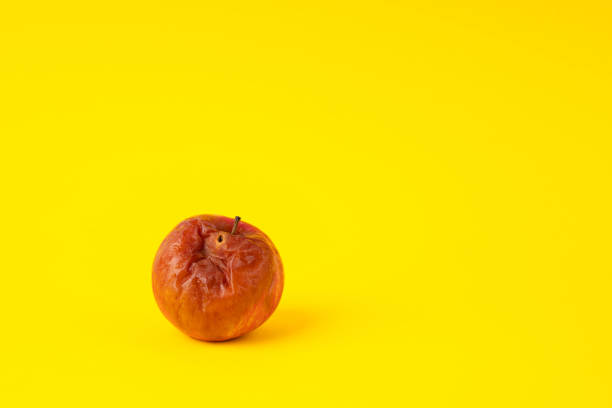 istock Rotten apple with a worm on a uniform yellow background 1287860544