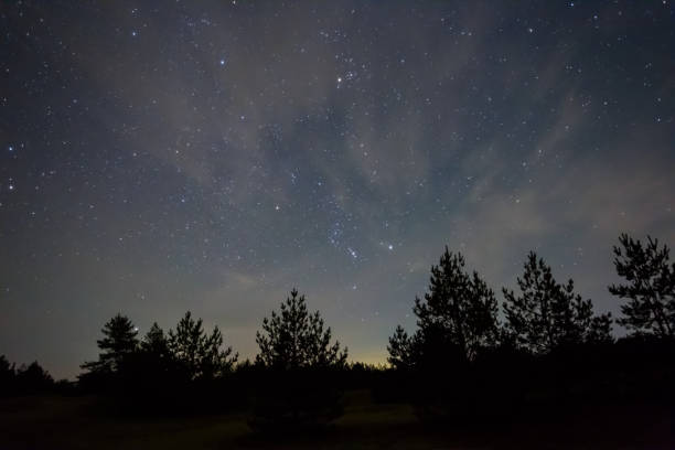 istock Orion constellation on a night sky above forest silhouette, night outdoor background 1287862992