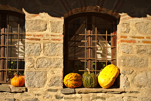 Thanksgiving and Halloween celebration concept. Autumn home decor fruits pumpkins corn apples on a white table.