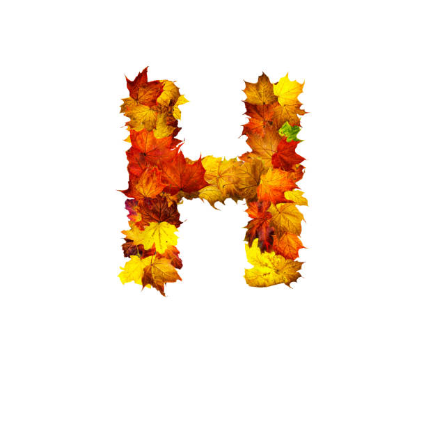 istock Colorful autumn leaves isolated on white background as letter H. 1287865949