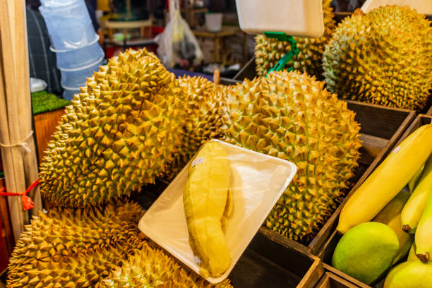 smelly fresh durian fruit thai night market street food, bangkok. - huai khwang district imagens e fotografias de stock