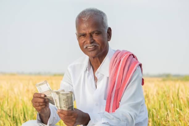 istock Happy smiling Indian farmer counting money on agriculture field while looking camera - concept of good or bumper crop harvest, farm subsidy and credit 1287866567