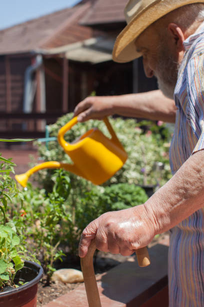 istock senior man watering flowers with focus on his hand 1287872603