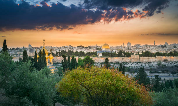 atardecer en jerusalén con árbol de otoño en el monte de los olivos - lutheran church of the redeemer fotografías e imágenes de stock
