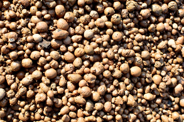istock Expanded clay background. Hydro crunch expanded clay hydroton is available in the form of crushed stone or gravel 1287875586