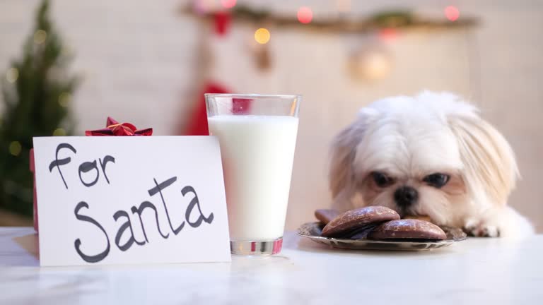 Dog stealing cookies from the table meant for Santa Clause.