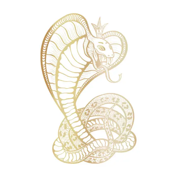 Vector illustration of King Cobra with hood and crown. Golden vector isolated viper snake, hand-drawn luxury logo for hunting, sports theme. Mascot tattoo template