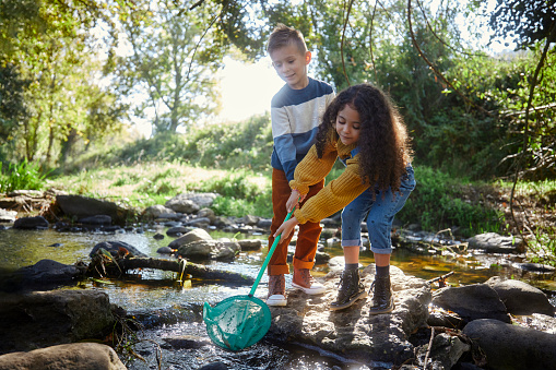 Small caucasian boy and african-american girl catching fish in river with fishing net