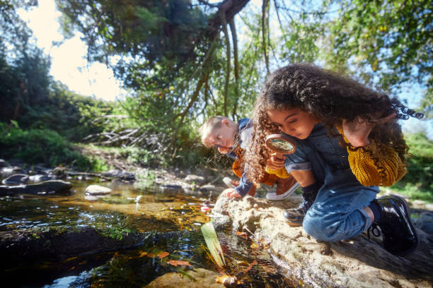 Small boy and girl looking at river with magnifier Small boy and girl looking at river with magnifier in the woods exploration stock pictures, royalty-free photos & images