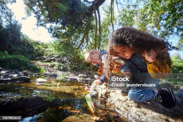 Small Boy And Girl Looking At River With Magnifier Stock Photo - Download Image Now - Child, Nature, Science