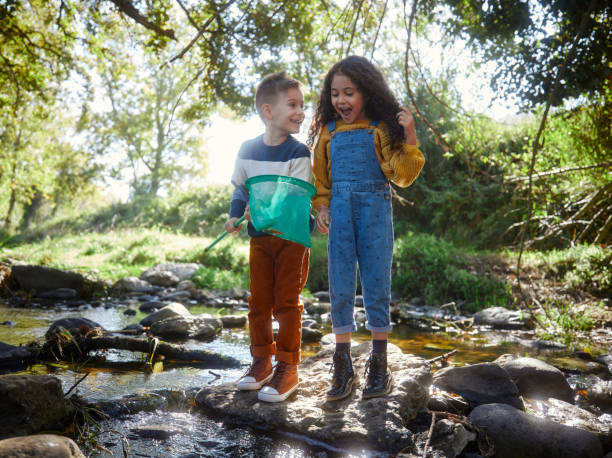istock Small children catching fish in the river with net 1287883864