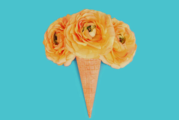 istock Unusual cone and three yellow flower buds as ice cream 1287888121
