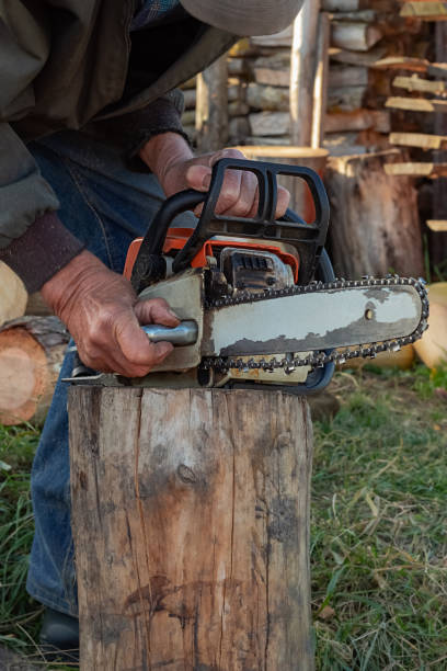 istock An elderly man checks a chainsaw for serviceability 1287888238