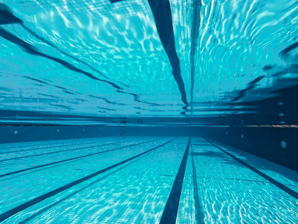 swimming pool during day time