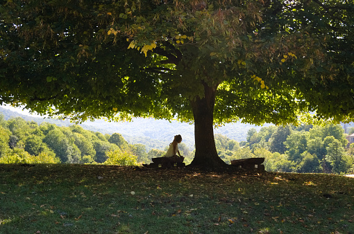 Mujer bajo la sombra de un árbol photo