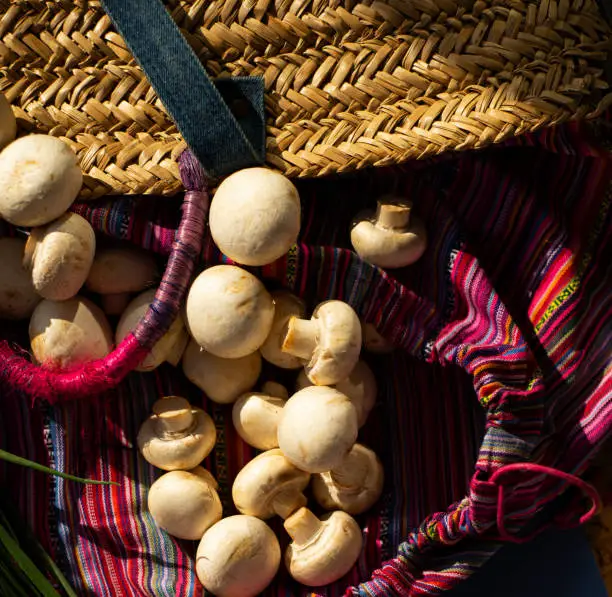A handful of champignons is poured out of a wicker basket bag onto an ornamented burgundy boho-style fabric.