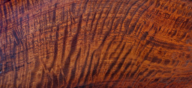 istock Natural Burma padauk wood has tiger stripe or curly stripe grain texture background surface 1287896977