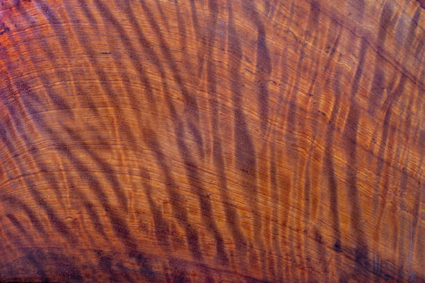 istock Natural Burma padauk wood has tiger stripe or curly stripe grain texture background surface 1287896989