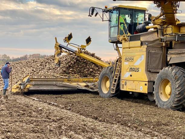 Chula Vista, CA Heavy Equipment Shipping Cost